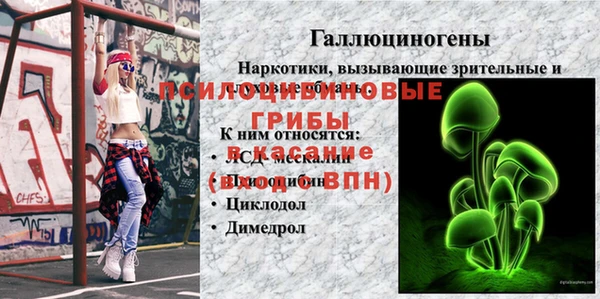 шишки Снежинск
