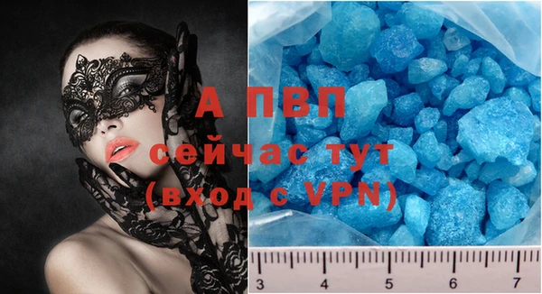 ГАЛЛЮЦИНОГЕННЫЕ ГРИБЫ Богданович