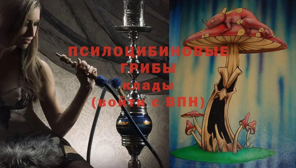 дмт Беломорск