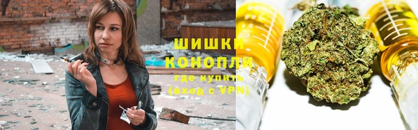 ГАЛЛЮЦИНОГЕННЫЕ ГРИБЫ Богданович