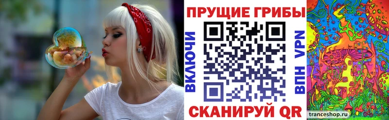 Галлюциногенные грибы Cubensis  Мегион 